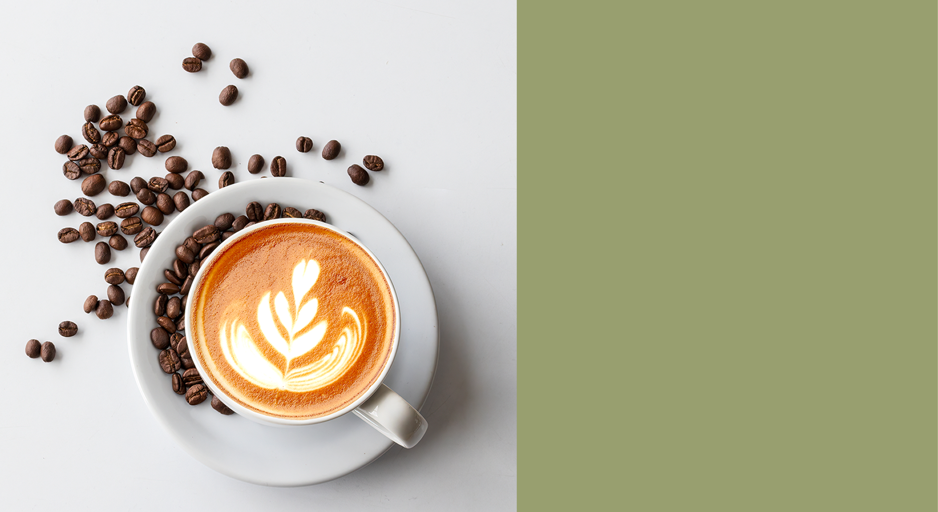 Wellness Duo mushroom coffee bundle image
